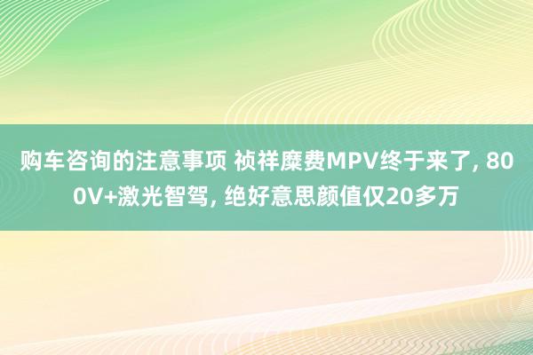 购车咨询的注意事项 祯祥糜费MPV终于来了, 800V+激光智驾, 绝好意思颜值仅20多万