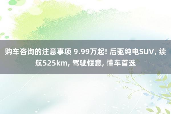 购车咨询的注意事项 9.99万起! 后驱纯电SUV, 续航525km, 驾驶惬意, 懂车首选