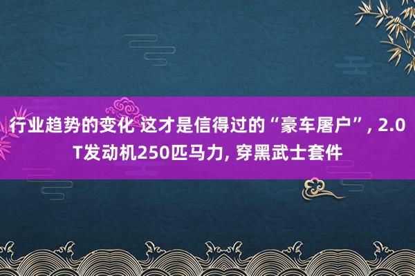 行业趋势的变化 这才是信得过的“豪车屠户”, 2.0T发动机250匹马力, 穿黑武士套件