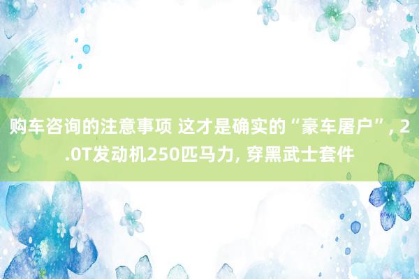 购车咨询的注意事项 这才是确实的“豪车屠户”, 2.0T发动机250匹马力, 穿黑武士套件