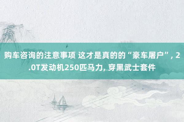 购车咨询的注意事项 这才是真的的“豪车屠户”, 2.0T发动机250匹马力, 穿黑武士套件