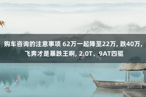 购车咨询的注意事项 62万一起降至22万, 跌40万, 飞奔才是暴跌王啊, 2.0T、9AT四驱