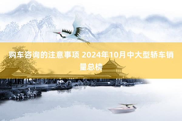 购车咨询的注意事项 2024年10月中大型轿车销量总榜