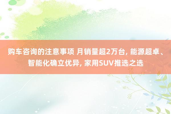 购车咨询的注意事项 月销量超2万台, 能源超卓、智能化确立优异, 家用SUV推选之选