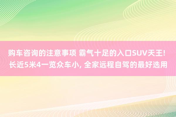 购车咨询的注意事项 霸气十足的入口SUV天王! 长近5米4一览众车小, 全家远程自驾的最好选用