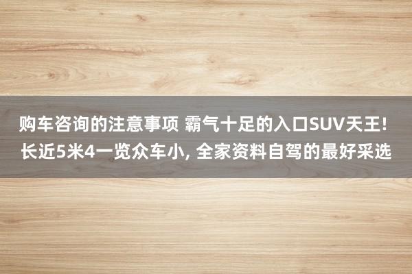 购车咨询的注意事项 霸气十足的入口SUV天王! 长近5米4一览众车小, 全家资料自驾的最好采选