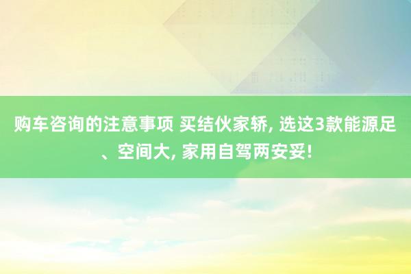 购车咨询的注意事项 买结伙家轿, 选这3款能源足、空间大, 家用自驾两安妥!