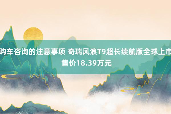 购车咨询的注意事项 奇瑞风浪T9超长续航版全球上市 售价18.39万元