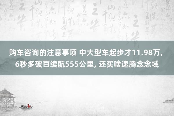 购车咨询的注意事项 中大型车起步才11.98万, 6秒多破百续航555公里, 还买啥速腾念念域