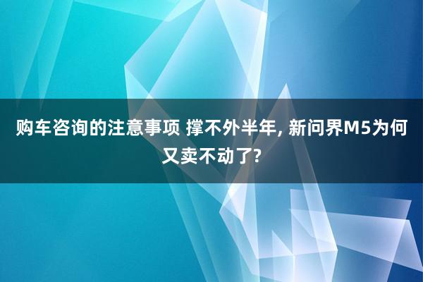 购车咨询的注意事项 撑不外半年, 新问界M5为何又卖不动了?