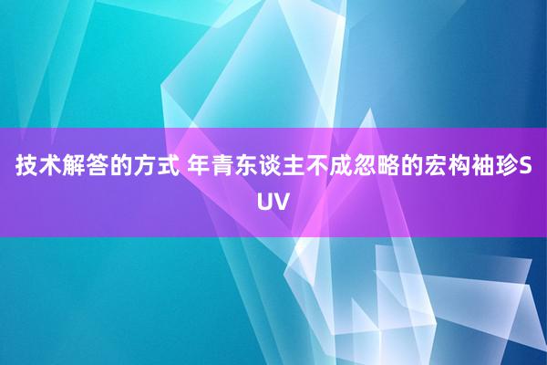 技术解答的方式 年青东谈主不成忽略的宏构袖珍SUV