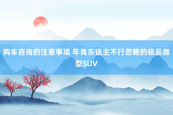 购车咨询的注意事项 年青东谈主不行忽略的极品微型SUV