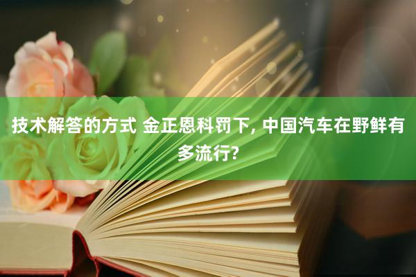 技术解答的方式 金正恩科罚下, 中国汽车在野鲜有多流行?