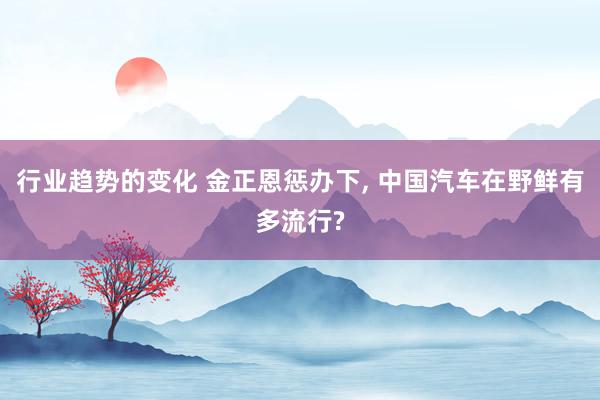 行业趋势的变化 金正恩惩办下, 中国汽车在野鲜有多流行?