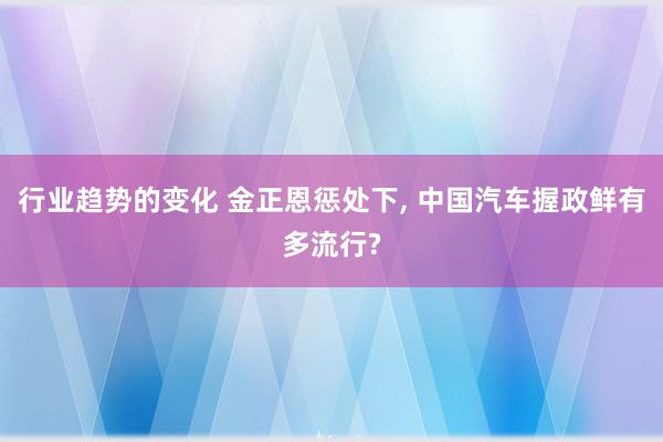 行业趋势的变化 金正恩惩处下, 中国汽车握政鲜有多流行?