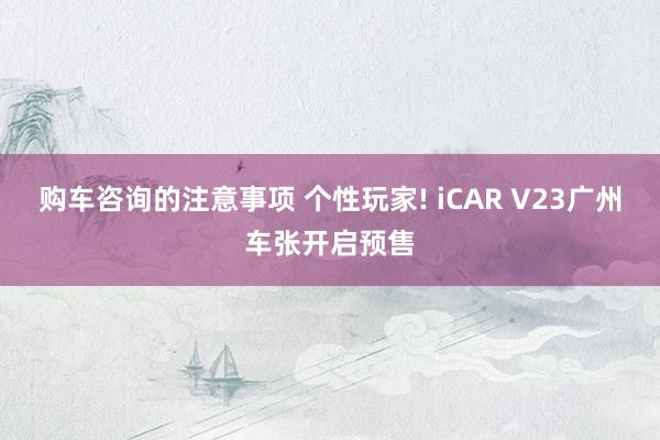 购车咨询的注意事项 个性玩家! iCAR V23广州车张开启预售