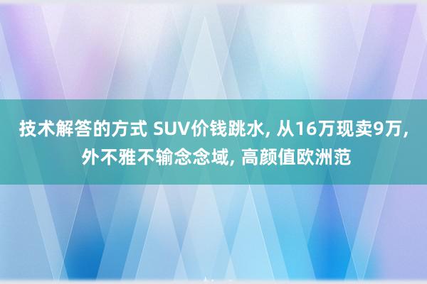 技术解答的方式 SUV价钱跳水, 从16万现卖9万, 外不雅不输念念域, 高颜值欧洲范