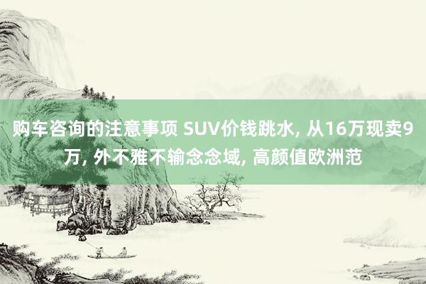 购车咨询的注意事项 SUV价钱跳水, 从16万现卖9万, 外不雅不输念念域, 高颜值欧洲范