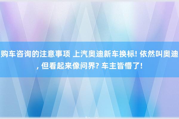 购车咨询的注意事项 上汽奥迪新车换标! 依然叫奥迪, 但看起来像问界? 车主皆懵了!