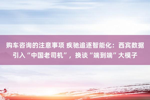 购车咨询的注意事项 疾驰追逐智能化：西宾数据引入“中国老司机”，换谈“端到端”大模子