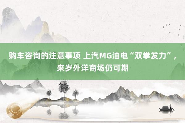 购车咨询的注意事项 上汽MG油电“双拳发力”，来岁外洋商场仍可期