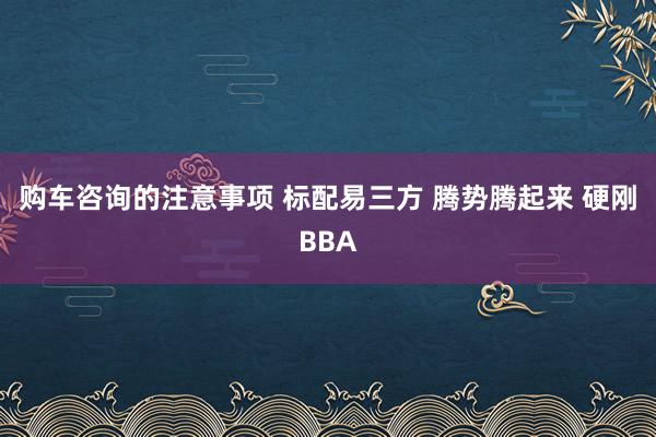 购车咨询的注意事项 标配易三方 腾势腾起来 硬刚BBA