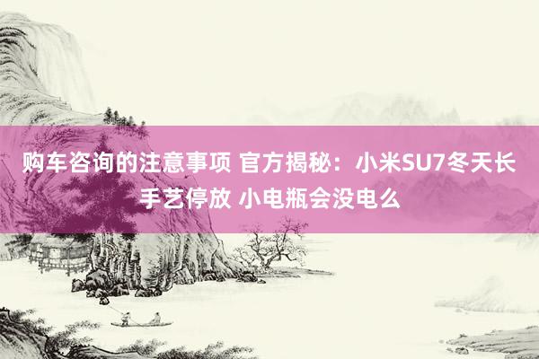 购车咨询的注意事项 官方揭秘：小米SU7冬天长手艺停放 小电瓶会没电么