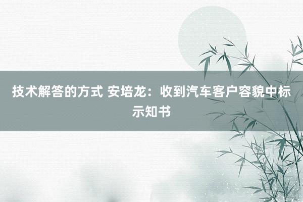 技术解答的方式 安培龙：收到汽车客户容貌中标示知书