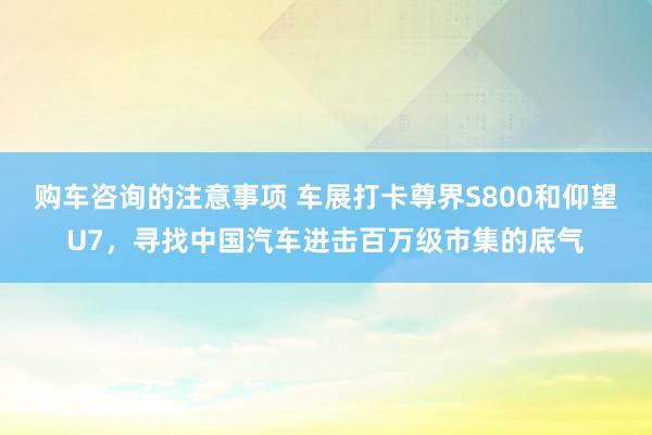 购车咨询的注意事项 车展打卡尊界S800和仰望U7，寻找中国汽车进击百万级市集的底气