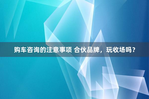 购车咨询的注意事项 合伙品牌，玩收场吗？