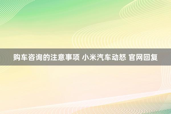 购车咨询的注意事项 小米汽车动怒 官网回复