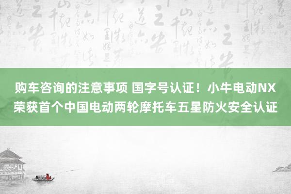 购车咨询的注意事项 国字号认证！小牛电动NX荣获首个中国电动两轮摩托车五星防火安全认证