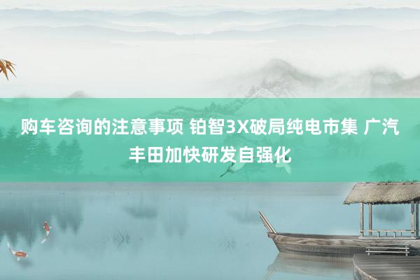 购车咨询的注意事项 铂智3X破局纯电市集 广汽丰田加快研发自强化