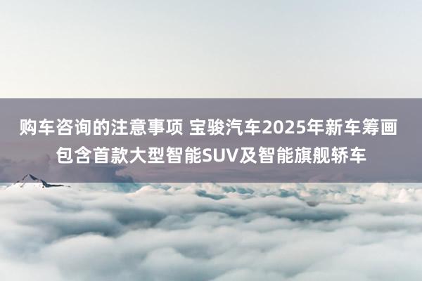 购车咨询的注意事项 宝骏汽车2025年新车筹画 包含首款大型智能SUV及智能旗舰轿车