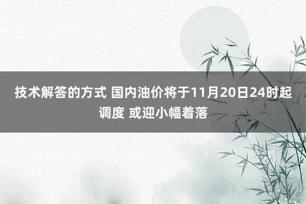 技术解答的方式 国内油价将于11月20日24时起调度 或迎小幅着落