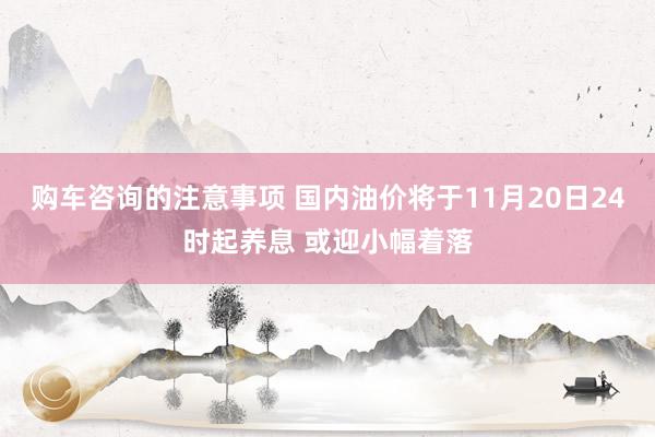 购车咨询的注意事项 国内油价将于11月20日24时起养息 或迎小幅着落