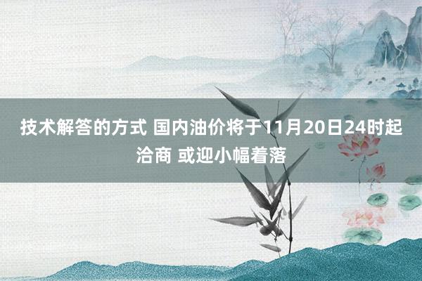 技术解答的方式 国内油价将于11月20日24时起洽商 或迎小幅着落