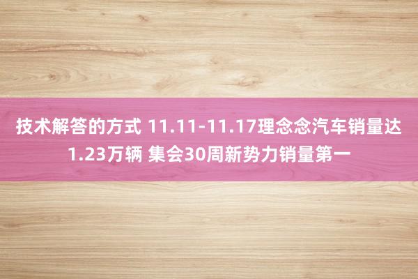 技术解答的方式 11.11-11.17理念念汽车销量达1.23万辆 集会30周新势力销量第一