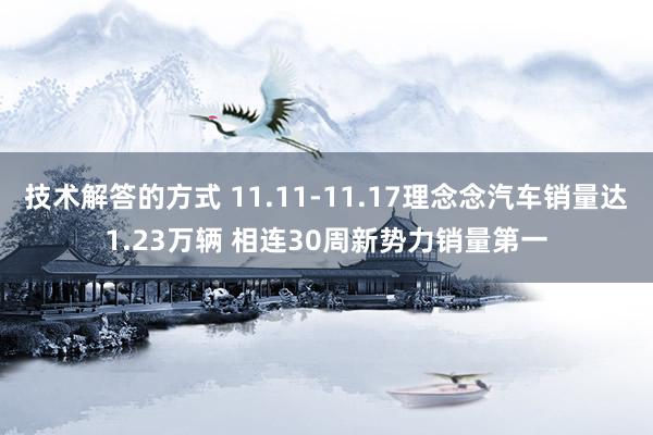 技术解答的方式 11.11-11.17理念念汽车销量达1.23万辆 相连30周新势力销量第一