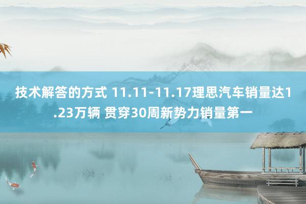 技术解答的方式 11.11-11.17理思汽车销量达1.23万辆 贯穿30周新势力销量第一