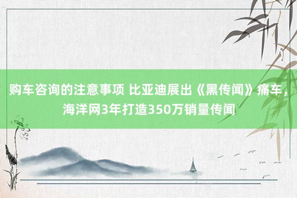 购车咨询的注意事项 比亚迪展出《黑传闻》痛车，海洋网3年打造350万销量传闻