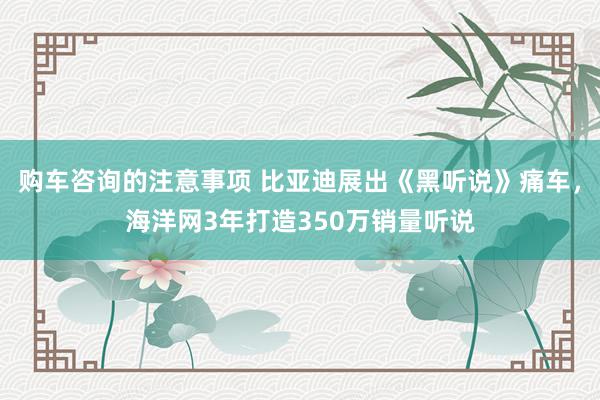 购车咨询的注意事项 比亚迪展出《黑听说》痛车，海洋网3年打造350万销量听说