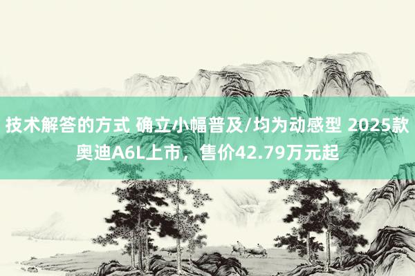 技术解答的方式 确立小幅普及/均为动感型 2025款奥迪A6L上市，售价42.79万元起