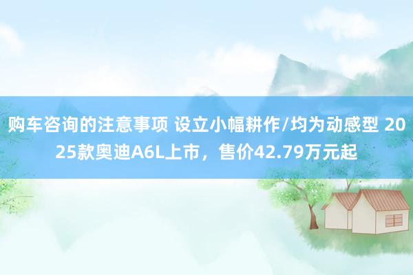 购车咨询的注意事项 设立小幅耕作/均为动感型 2025款奥迪A6L上市，售价42.79万元起